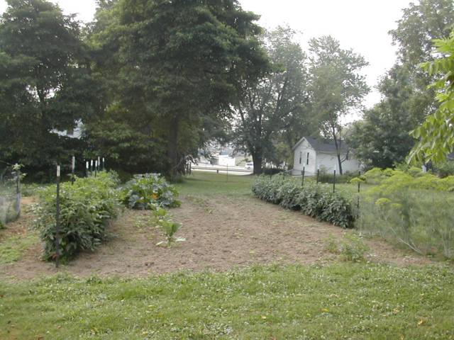 Kerry's Garden - July 2004